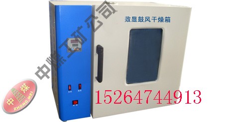 供应101系列数显鼓风干燥箱